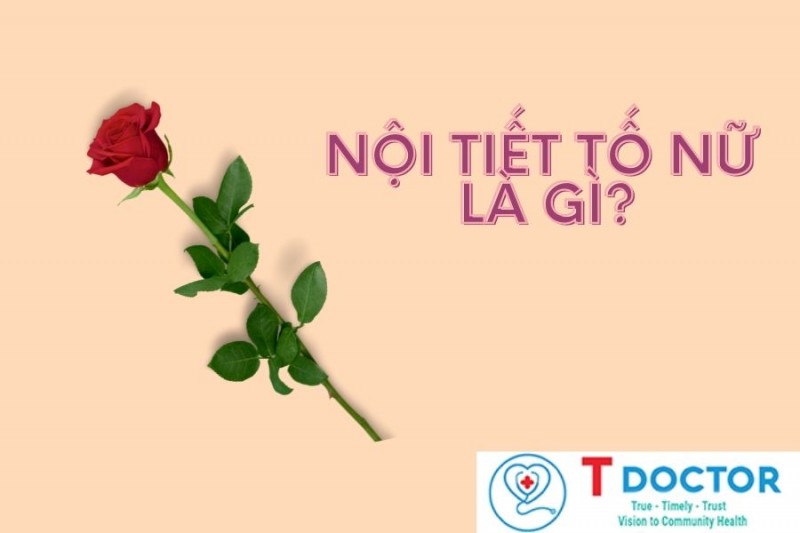 Nội tiết tố nữ là gì? - Giải đáp của chuyên gia