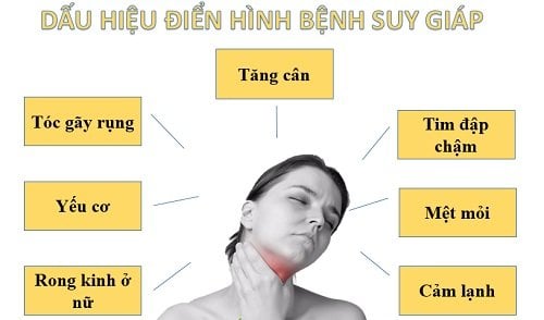 Suy giáp là gì? Cường giáp là gì? Hiểu rõ để điều trị đúng bệnh