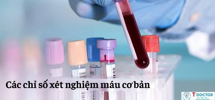 Các chỉ số xét nghiệm máu cơ bản có ý nghĩa gì trong chẩn đoán?