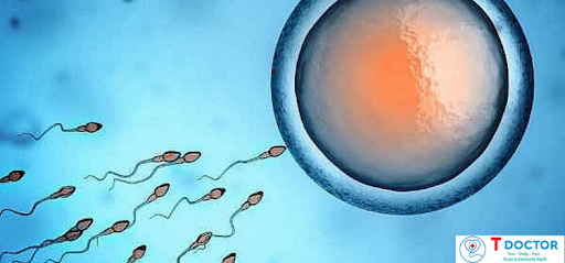 Xuất tinh ngoài âm đạo là trạng thái trong thời gian quan hệ tình dục, người đàn ông rút dương vật của mình ra khỏi vùng kín của phụ nữ, để ngăn chặn quá trình thụ tinh giữa trứng và tinh trùng. 