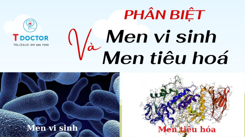 Phân biệt men vi sinh và men tiêu hoá 