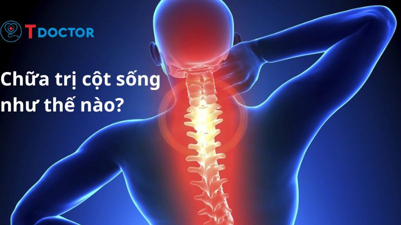 Cột sống người được tạo thành như thế nào?