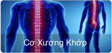 Cơ xương khớp